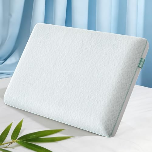 Releep Oreiller en Mousse à mémoire de Forme au Gel, réversible Tissu rafraîchissant/Fibre de Bambou, Maintien pour dormeurs sur Le côté, soulage Les douleurs cervicales, Taille Queen