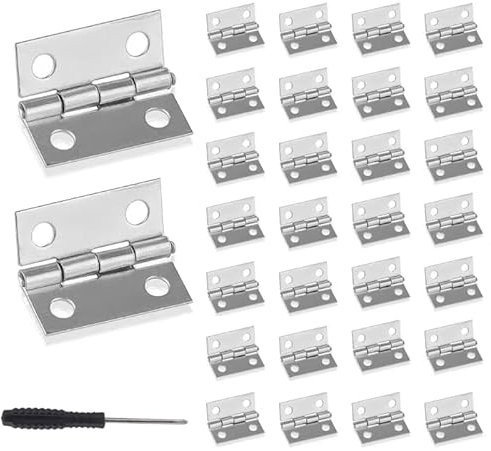 Roosea Mini Charnières 30 pièces charnière boite à bijoux 25*24*0.8mm petites charnieres charniere inox pour travaux manuels,petites boîtes à bijoux,maisons de poupées avec tournevis et 120 vis à bois