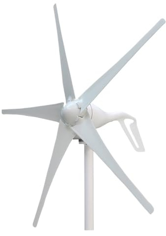 Turbina eólica, Generador de viento 600W, 5 aspas, 12V, 24V potencia for uso doméstico, monitoreo y lámpara ciudad, turbina eólica alta eficiencia(24V)