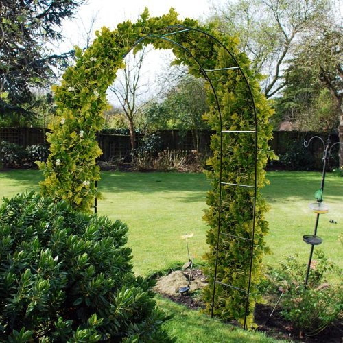 2xKingfisher Self Assembly Garden Arch For Climbing Plants & Roses