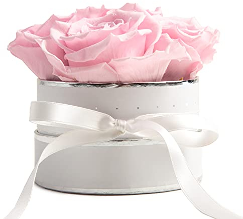 ROSEMARIE SCHULZ Heidelberg Rosenbox rund Infinity Rosen Rosa - Blumenbox in Weiß 4 konservierte Rosen haltbar 3 Jahre - Geschenke für Frauen und Geschenke für Mama (Small, Weiß-Rosa)