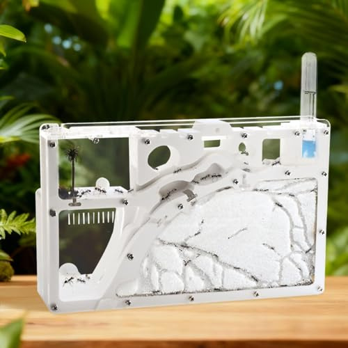 Ant Farm Castle Ant Farm Kit for Kids, Ant Habitat Science Learning Kit, Ant Farms for Live Ants, Ant Colony Educational Toy Kit for Kids