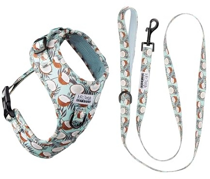 Hundegeschirr mit Leine für kleine Hunde | Arizona Hotdogs Softgeschirr Coconut | Leine Nylon 1,5m |Kokosnuss-Muster Hellblau (XXS)