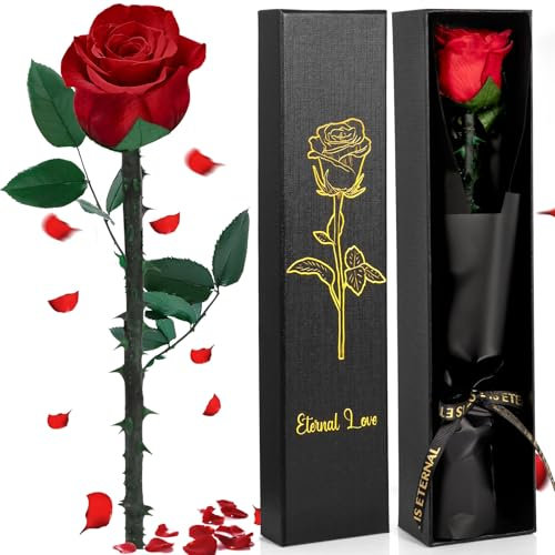 Vautvis Rosa Stabilizzata Vera Rosa Eterna San Valentino per Lei, Regali San Valentino per Donna, Rose Stabilizzate San Valentino, Regali Mamma Fidanzata Moglie Sorella