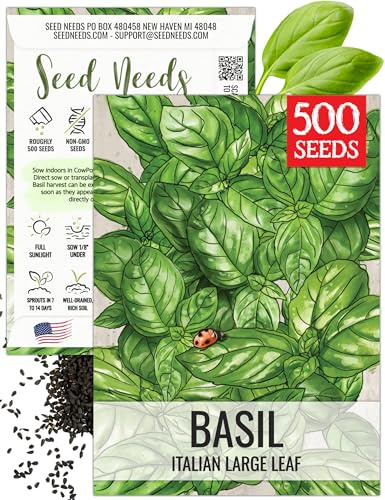 Seed Needs Italian Basil Seeds to Plant Heirloom Non-GMO Herbs 1 Pack