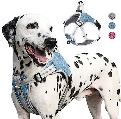 AgoumLux Hundegeschirr Kleine Hunde, Reflektierend Hunde Geschirr mit Gepolstert Verstellbare, Anti Zug Welpen Brustgeschirr für Große Mittel Kleine Hunde, Blau, S