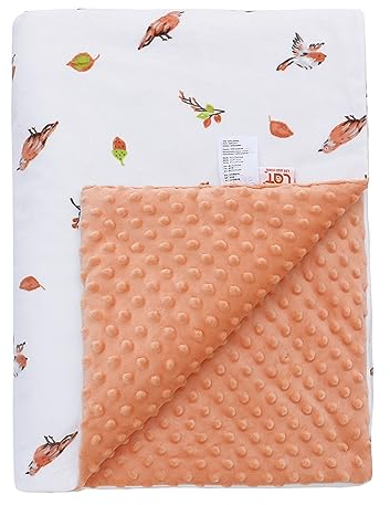 LAT Mantas para Bebés Invierno con Minky 75x100cm - Manta de Cochecito Bebé Manta de Peluche Manta Bebe para Recien Nacido Niñas Niños (Pájaro)