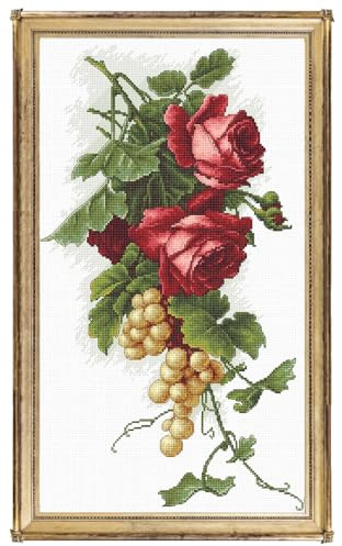 CRAFTiDA Cross Stitch Kits for Adults Beginners Pre-Printed Stamped Embroidery Kit 14CT 33x51cm DIY Craft Kit (Grapes & Roses)