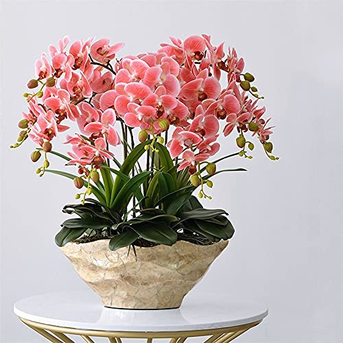 XFZJCHAP Artificial Flower in Pot Artificial Orchid with Vase Large Fake Flower Phalaenopsis Faux Plants White, Yellow 68cm