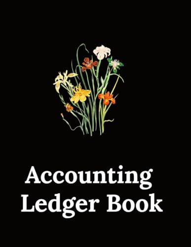 Accounts ledger tracking book for small business and personal use,Income n expence tracker, Monthly check log register for family budget, Undated budget log journal 8.5 . 11 inches