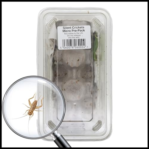 Livefoods4u Micro House Brown Crickets 1-2mm | Live Reptile Food