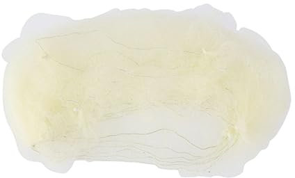 FOMIYES Haarnetz Unsichtbar Elastisch Mesh 100 Stück Gold 50cm für Balletttanz Flugbegleiter Gastronomie Labor Produktion Haar Dekor