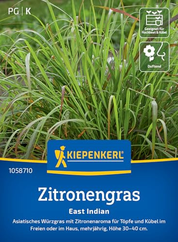 Kiepenkerl Zitronengrassamen East Indian 1058710, Saatgut | Wuchshöhe 30-40 cm, Inhalt für 50 Pflanzen, aromatisch, mehrjährig