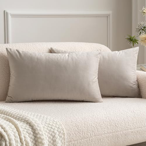 MIULEE 2er Set Kissenbezug 30x50 cm samtkissen couchkissen Champagner | Kissenhülle Dekorative Dekokissen Sofakissen Wurfkissenbezug mit Verstecktem Reißverschluss Sofa Schlafzimmer
