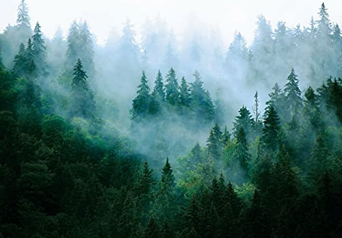 WallArena Vlies Fototapete, Wald, 368x254cm | Fototapeten - Tapeten - für Wohnzimmer Schlafzimmer - Vliestapete Wandtapete Tapete 3D Effekt- inkl. Kleister