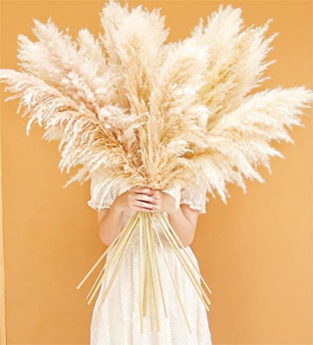 46 inch 10 Stems Natural Pampas Grass Decor Tall, Pompas Grass, Tall Pampas Grass for Weddingm, Farmhouse, Boho Home Decor (Beige)