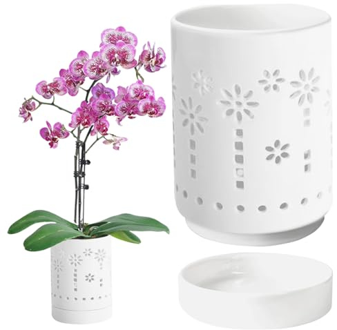 BEAHING Pot d'orchidée avec Trous, 4 Pouces en céramique Pots Pottes Hollow Orchid Planter Drainage et Ventilation Orchidée Planteur pour extérieur intérieur, Blanc