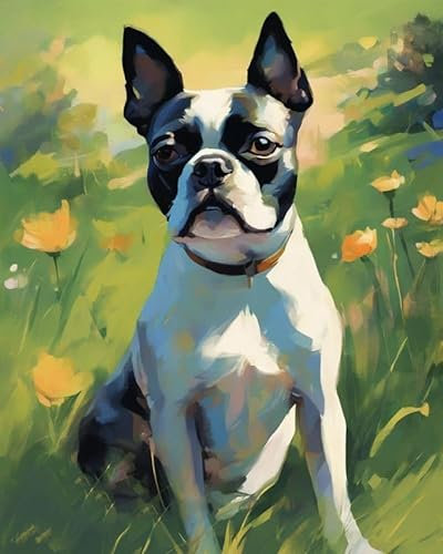ZMHZMY Malen nach Zahlen Boston Terrier Hund,Graswiese Painting by Numbers Kit DIY ölgemälde Kit für Erwachsene,Anfänger Painting Set 16x20 Zoll Leinwanddruck Wandkunst Dekoration