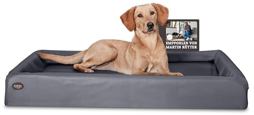 SABRO KUDDE Orthopädisches Hundebett – Martin Rütter – Hochwertiges Kunstleder – Waschbar & Wasserabweisend – Ergonomisch – Premium Haustierzubehör für Mittelgrosse, Grosse Hunde in Grau