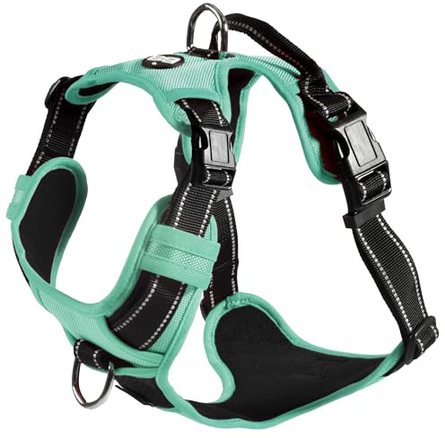 Bobby Rando Walk Harnais pour Chien Taille M en Nylon réfléchissant, Boucles réglables à Fermeture sûre, Facile à Porter, Gris Ras du Cou 40-63 cm, Tour de Poitrine 51-66 cm
