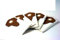 Parkside, 5 sacchetti per aspirapolvere in fleece, sacchetti per polveri fini, sacchetti per aspirapolvere secco bagnato PNTS 1250, 1300, 1400, 1500 A1, B1, B2, B3, C1, C3, D1, E2, tutti i modelli