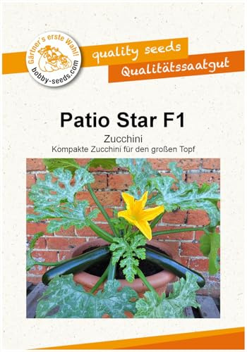 Kürbissamen Patio Star F1 Topfzucchini Portion
