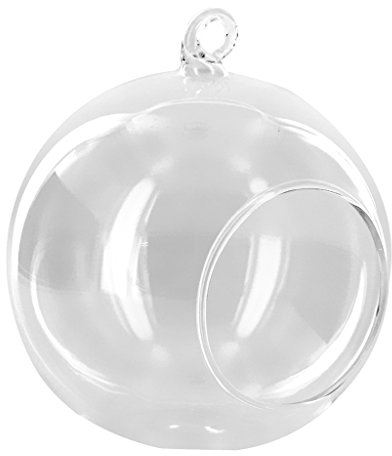 Dia.10cm Vase Suspendu en Verre Transparent Boule pour Plantes Fleurs Décoration de Jardin Maison
