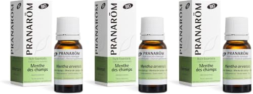 PRANAROM - Menta de Campo Bio - Aceite Esencial Quimiotipado - Digestión - Puro y Natural - HETC - 10ml (Paquete de 3)