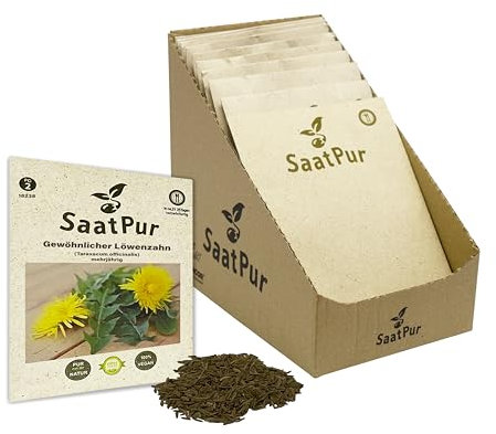 SaatPur® Saatgut Geewöhnlicher Löwenzahn Samen - Kleines Tray mit 25 Portionstüten für je ca. 500 Pflanzen