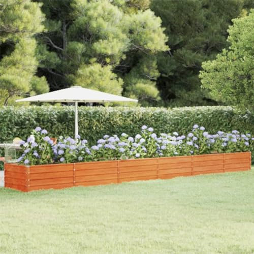 Canditree Lit Surélevé de Jardin Rouillé en Acier Corten, Carré Potager Métallique Jardinière pour Légumes Fleurs (600x80x45 cm)