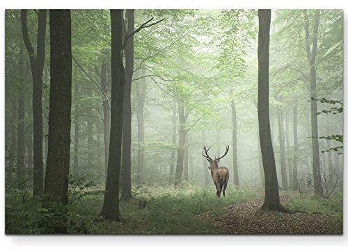 Paul Sinus Art Leinwandbilder | Bilder Leinwand 120x80cm Hirsch im Wald