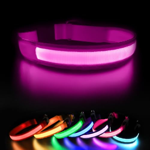 MASBRILL Leuchthalsband, Hundehalsband Leuchtend Aufladbar für Nachts | LED hundehalsband 3 Blinkmodi, Wasserdicht,Verstellbar, Leicht, für Hund 11-30kg, Rosa M