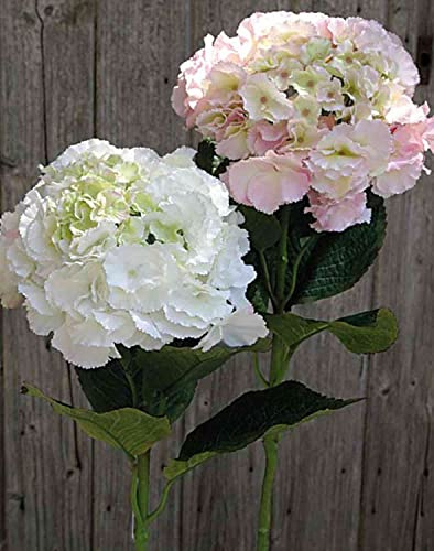 artplants.de Fleur en Tissu Hortensia Angelina, Rose-Vert, 70cm, Ø23cm - Hortensia Artificiel
