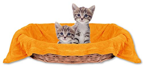 Haustierdecke Katzendecke Kuscheldecke Tierdecke, angenehm und super weich in vielen erhältlich (80x120 cm/maisgelb - Hellorange)