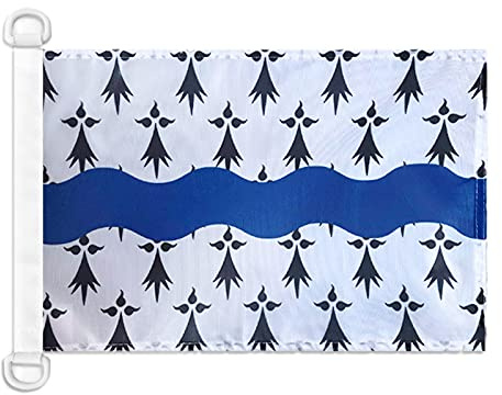 Pavillon nautique Loire-Atlantique 45x30cm - Drapeau de bateau département français - Pays de la Loire 30 x 45 cm - AZ FLAG