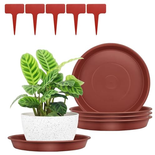 FANWINKJ 5pcs Plant Saucers, Plant Pot Saucers, Plastic Plant Saucer, Garden Saucers Trays, Round Plant Trays for Indoor/Outdoor Prevent Water Leakage(Red,17cm)