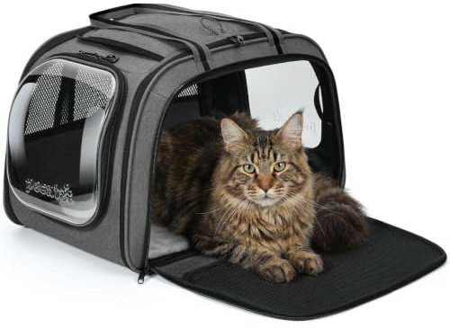 pecute Transportbox Hund XL mit Sichtfenster 55×38 ×35 cm, Grau | Katzen Transportboxen Atmungsaktive Stabile Haustiertransporttasche mit Einer Herausnehmbaren Plüschmatte