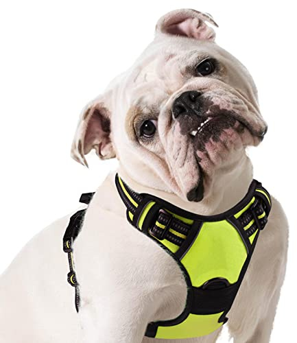 Eagloo Harnais Chien, Harnais Anti Traction pour Chien, Vert, M | avec Poignée Contrôle, Bandes Réfléchissantes, Maille Respirante Solide, Facile à Mettre, Réglable, pour Chiens Moyens Grands