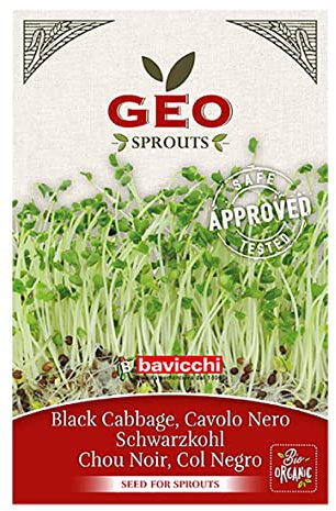 GEO Graines à Germer - Chou Kale Noir - Graines à Cultiver Bio pour Salades et Plats avec Germination Rapide pour Culture en Germoir - 12g