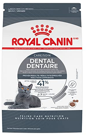 Royal Canin Feline Care Nutrition Dental Care Adult Dry Cat Food, 6 lb Bag