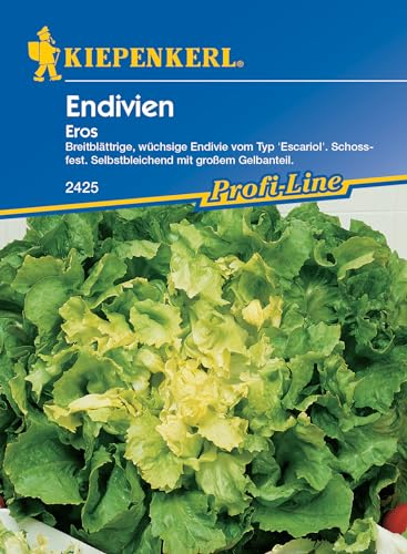 Kiepenkerl Profi-Line Endiviensamen Eros - Schossfester Salat, Endivie 'Eros' mit mild-herbem Aroma, Gemüsesamen für den Garten, Hochwertige Salatsaat, Gemüsegarten Samen