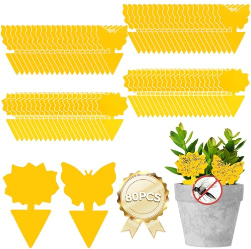 Lutte Contre Moustiques 80 pièges Anti Moucherons de Terreau Cochenille Farineuse Traitement Mosquito Dunks Processionnaire Nematodes Thrips Produit Insecticide Plante Carnivore Interieur Mouche