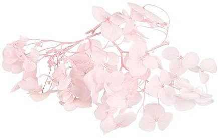 Alipis 1confezione Pacco Di Petali Di Ortensie Essiccati Naturali Per Decorazioni Fai Da Te Petali Freschi Conservati Rosa Per Decorazioni Di Compleanni e Matrimoni Nail Art e Creazioni
