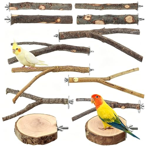 QingWing 12 stycken sittstänger för undulat, undulat sittstänger med skruvar, underläggsskivor, fågelburstillbehör Natur sittstänger set för fåglar, nymfpapegojor, olika