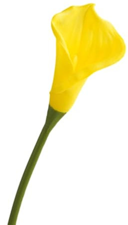 mophrati 20 pezzi di bouquet di gigli di calla realizzati in modo squisito per la decorazione di nozze ABS fiore artificiale da sposa non tossico per cani e gatti, Giallo