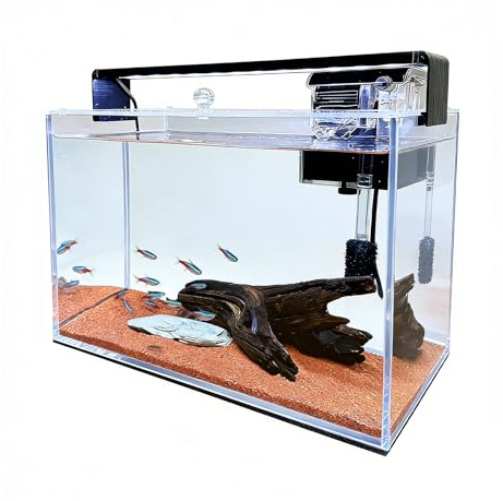 SMTAQX 3.2 Gallon Fish Tank, Nano Nature Aquarium,Small Aquarium Starter Kit,Ultra-Clear Rimless Desktop Small Aquarium with Filter,Light,Rainforest Sand,Rock for Betta,Shrimp,Goldfish,Clear Glass