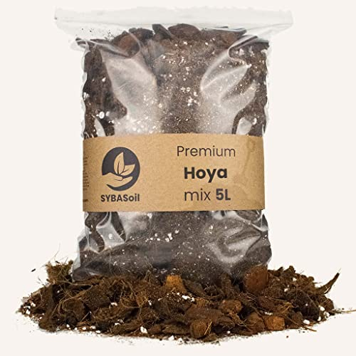 Sybotanica - Hoya-Erde 20 L – Premium Coco Blumenerde für Hoya & mehr, Torffrei & 180 Tage Bio-Dünger – Für Zimmerpflanzen-Liebhaber