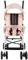 Poussette Bébé Légère et Compacte de 0 Mois à 4 Ans, Capacité de Charge Maximale de 25 kg, Poussette Pliable, Dossier Inclinable, Pliage Automatique en 1 Étape, Canopy-D-rose