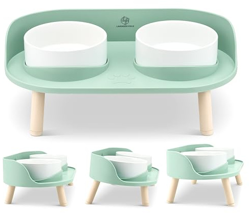 Raised Cat Bowls with Tilted Stand, Ceramic Cat Bowls, Whisker Fatigue Friendly, Feeding & Water Supplies for Cats and Kittens, Kitten bowls, 3 Height Settings