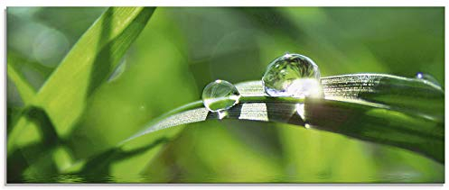 ARTland Wanddeko Glasbilder Wandbild Glas Bild einteilig 125x50 cm Querformat Natur Botanik Pflanzen Gräser Wassertropfen Gras Sommer Sonne Grün T5SE